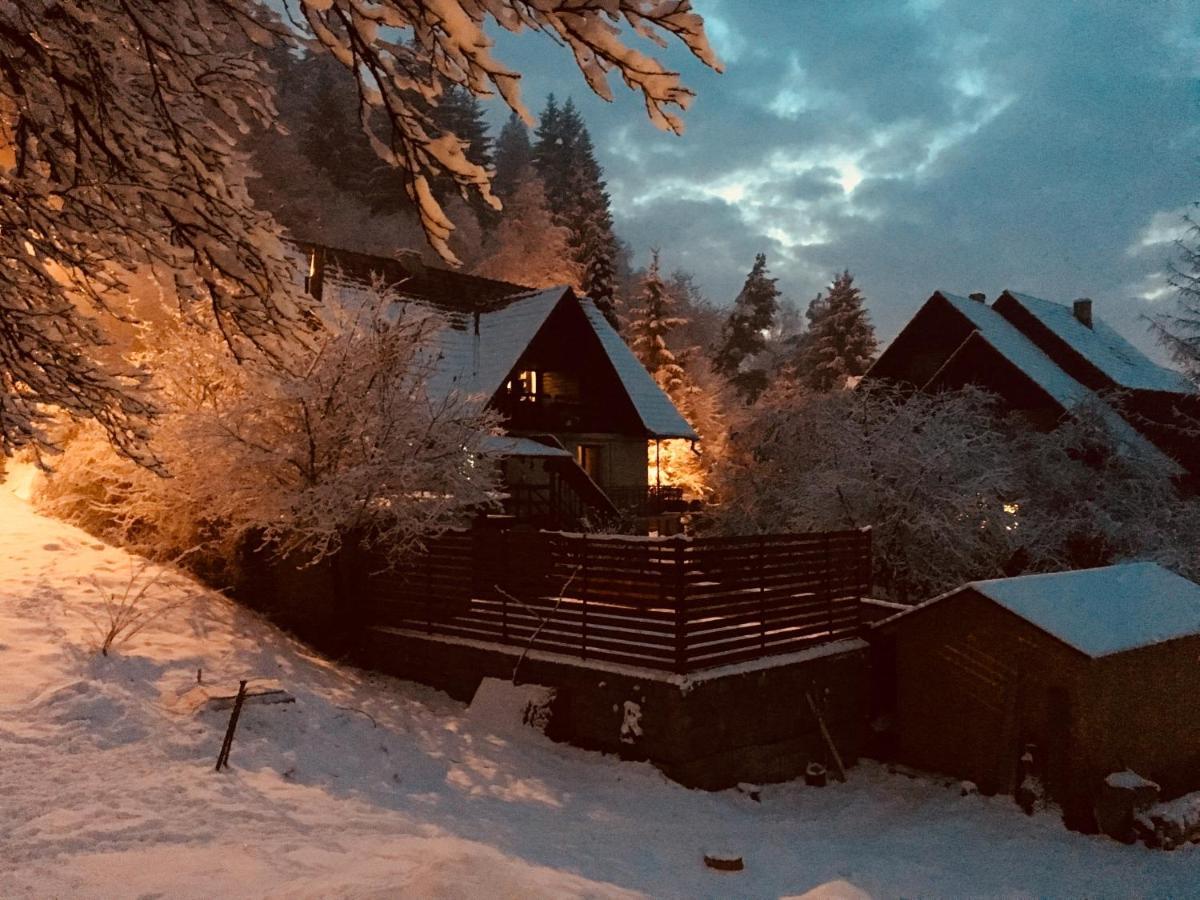 Soho Lodge Rasnov Exterior photo