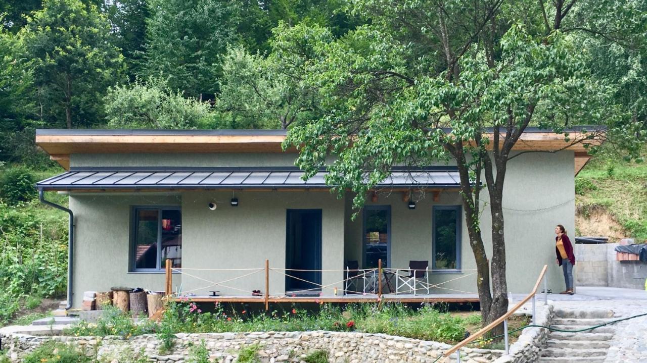 Soho Lodge Rasnov Exterior photo