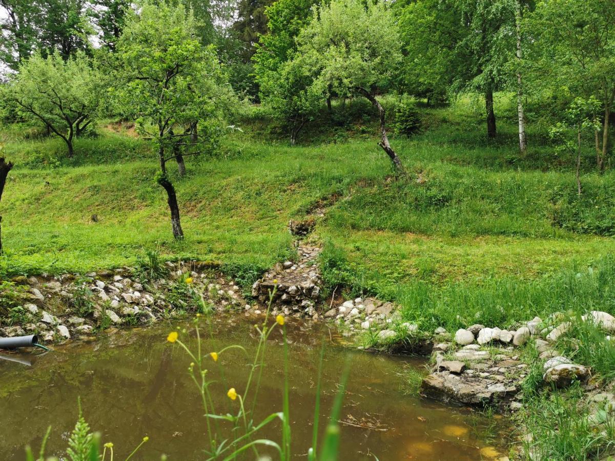 Soho Lodge Rasnov Exterior photo