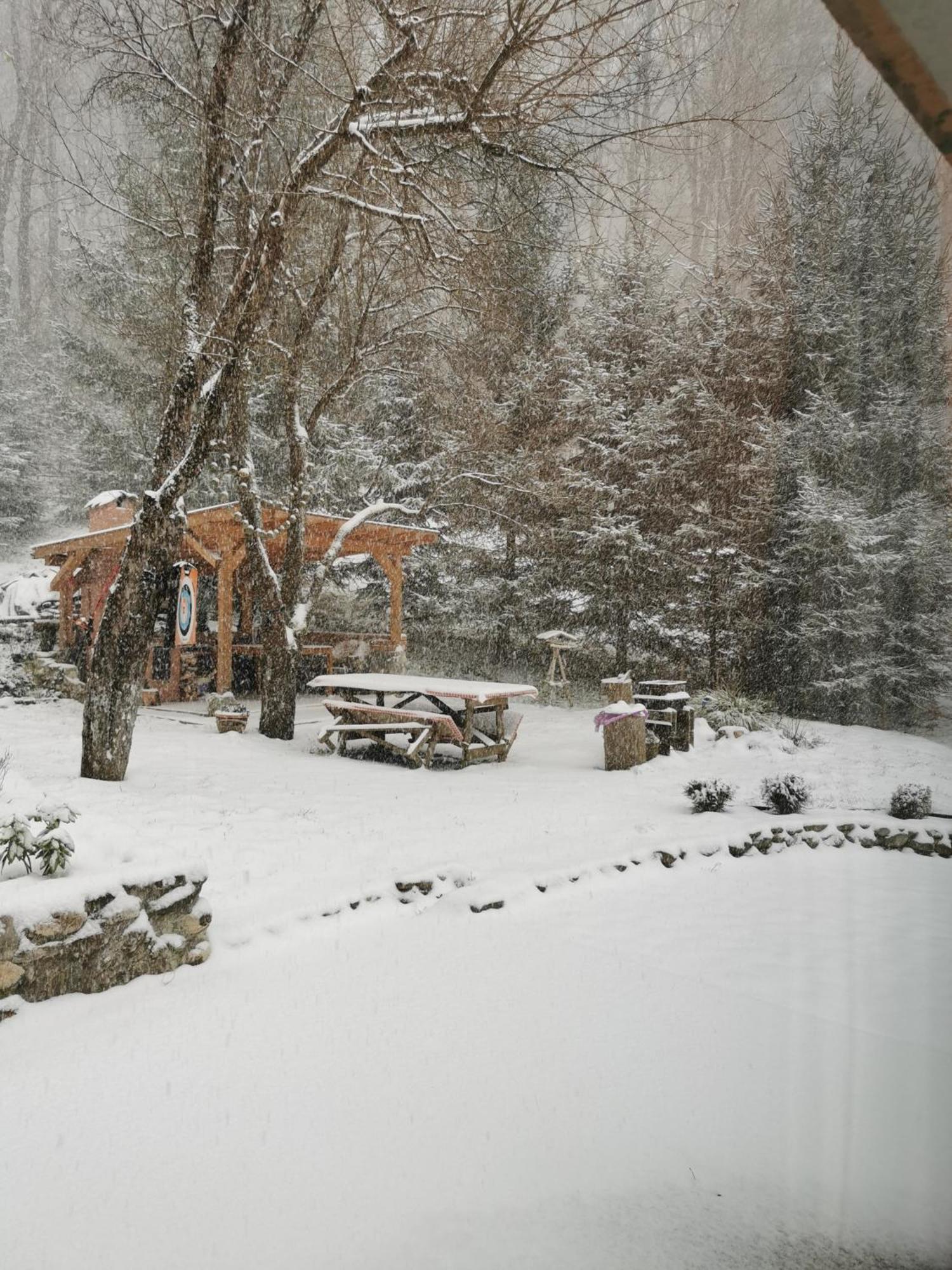Soho Lodge Rasnov Exterior photo