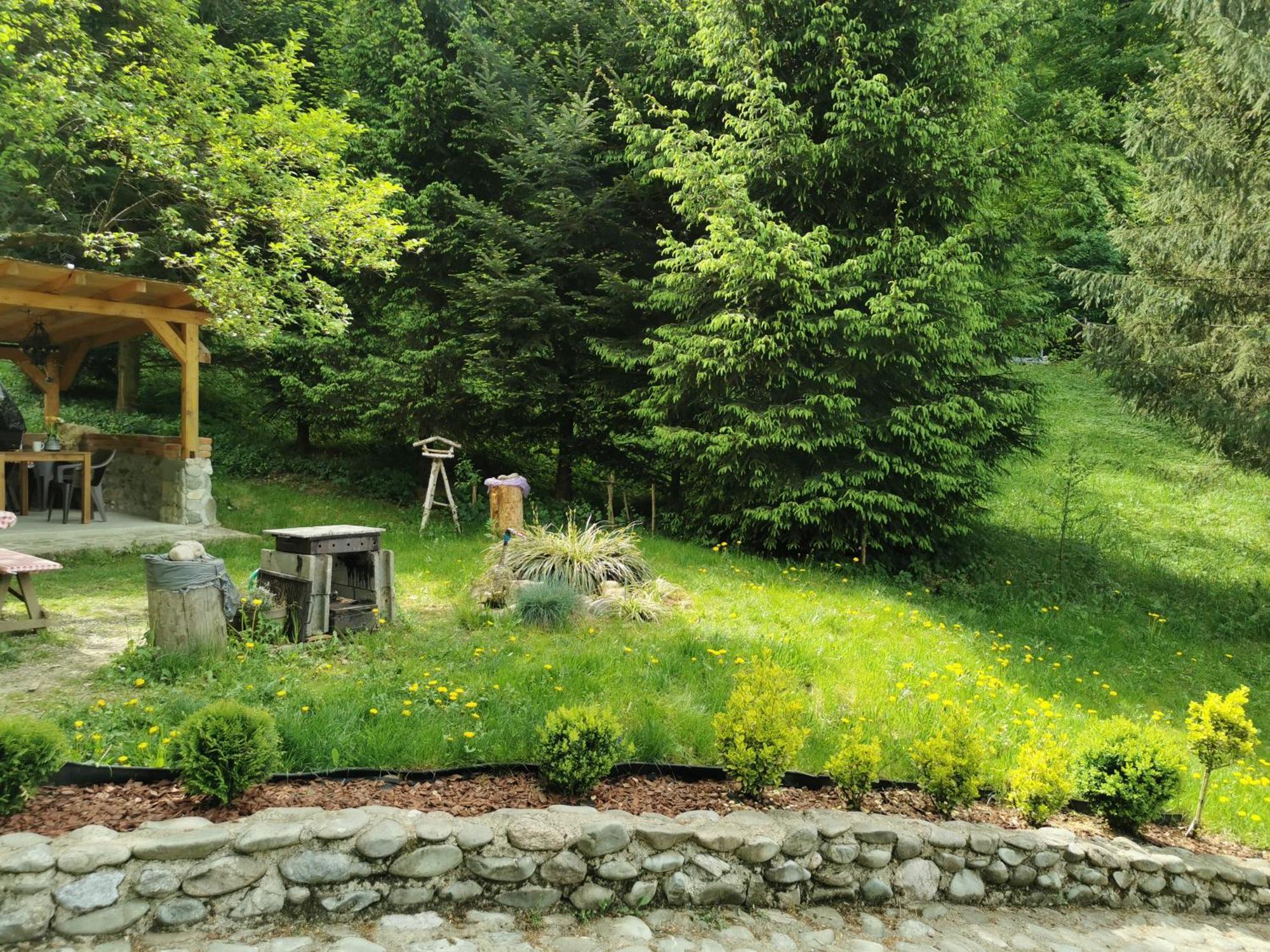 Soho Lodge Rasnov Exterior photo